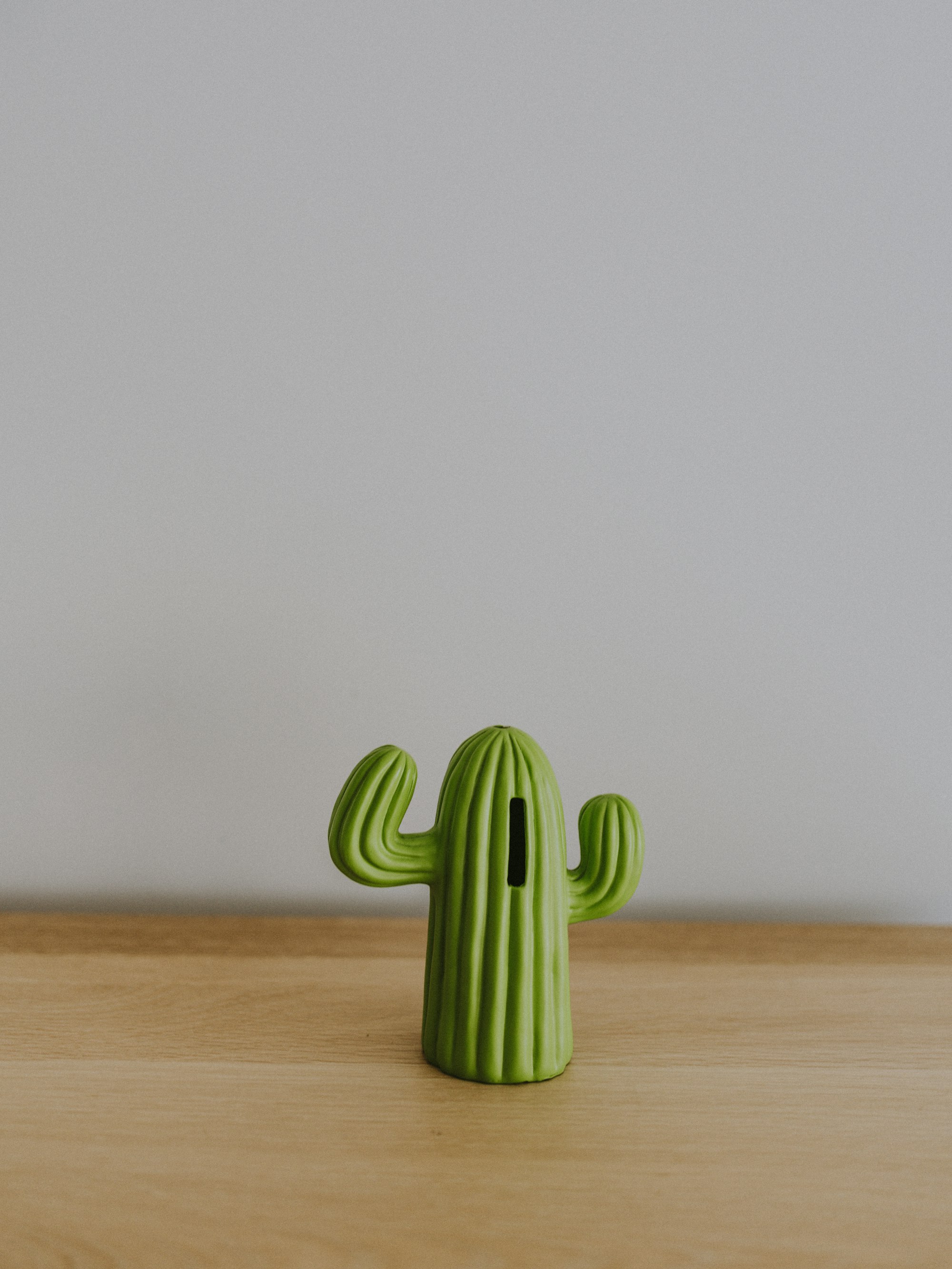 Cactus money box