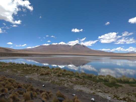 body of water under blue sky in Salar de Uyuni Bolivia