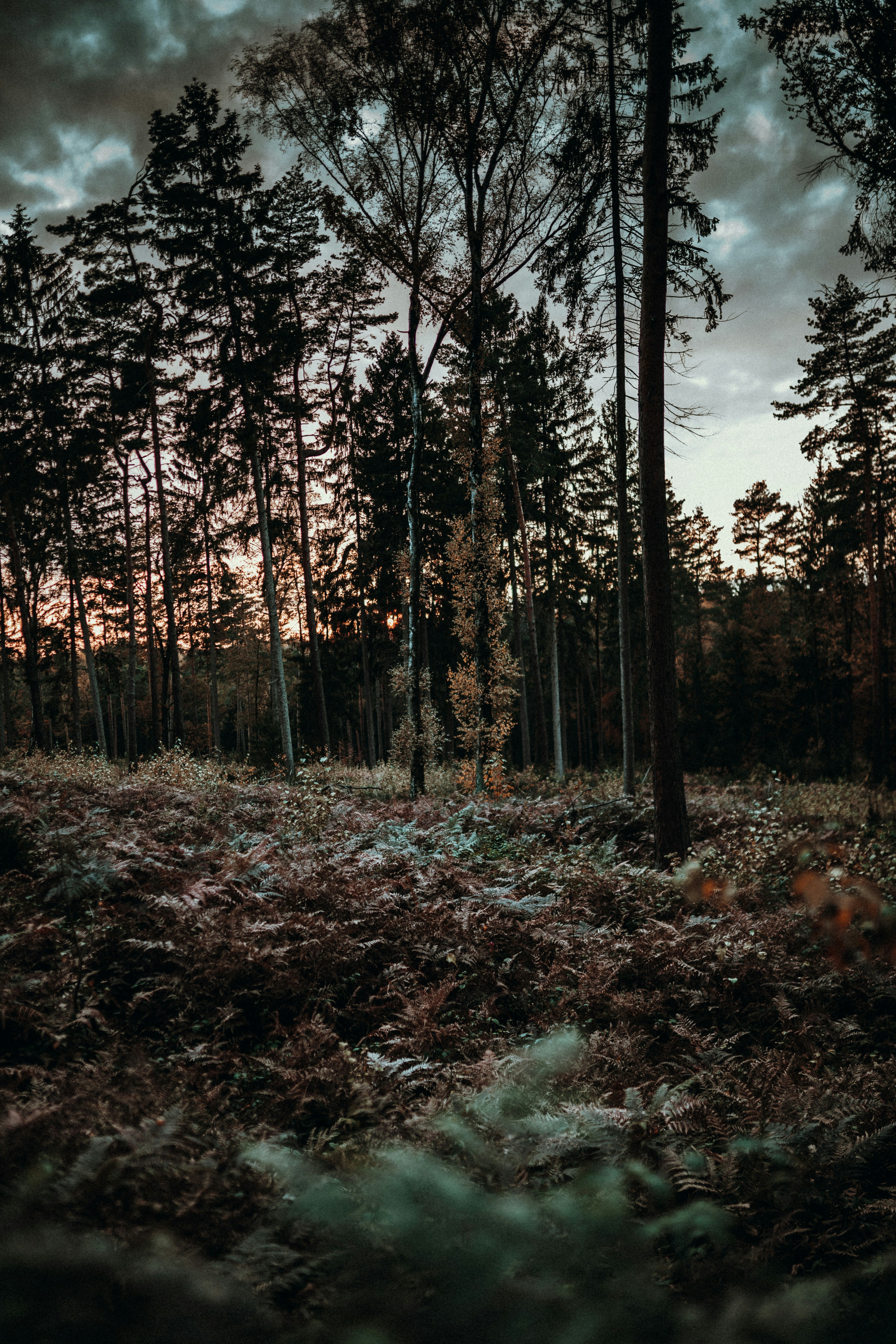 Photo by luiseandnic