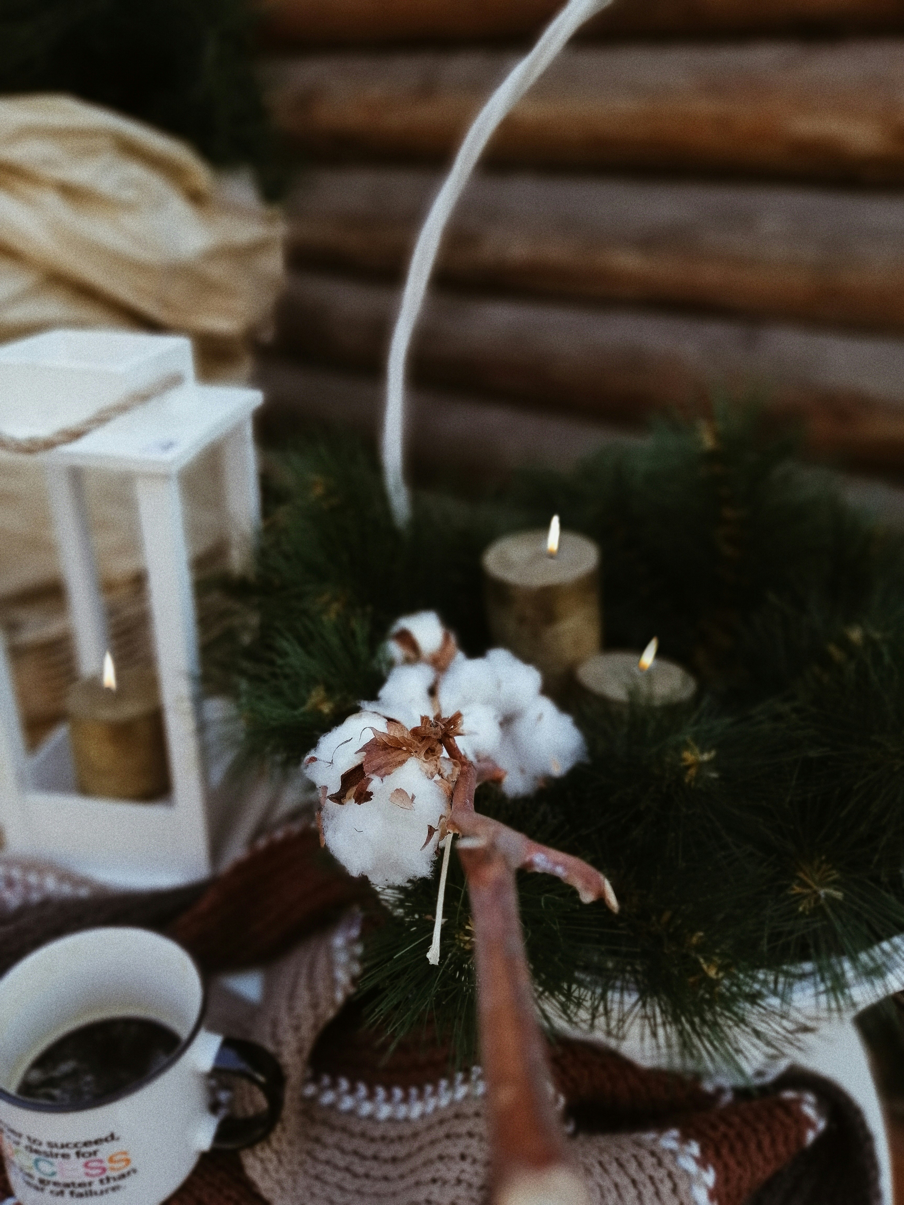 Photo by viktoriyadarko