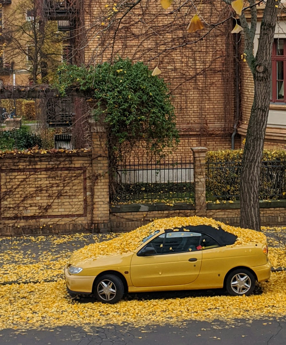 parked brown coupe covered with fallen leaves