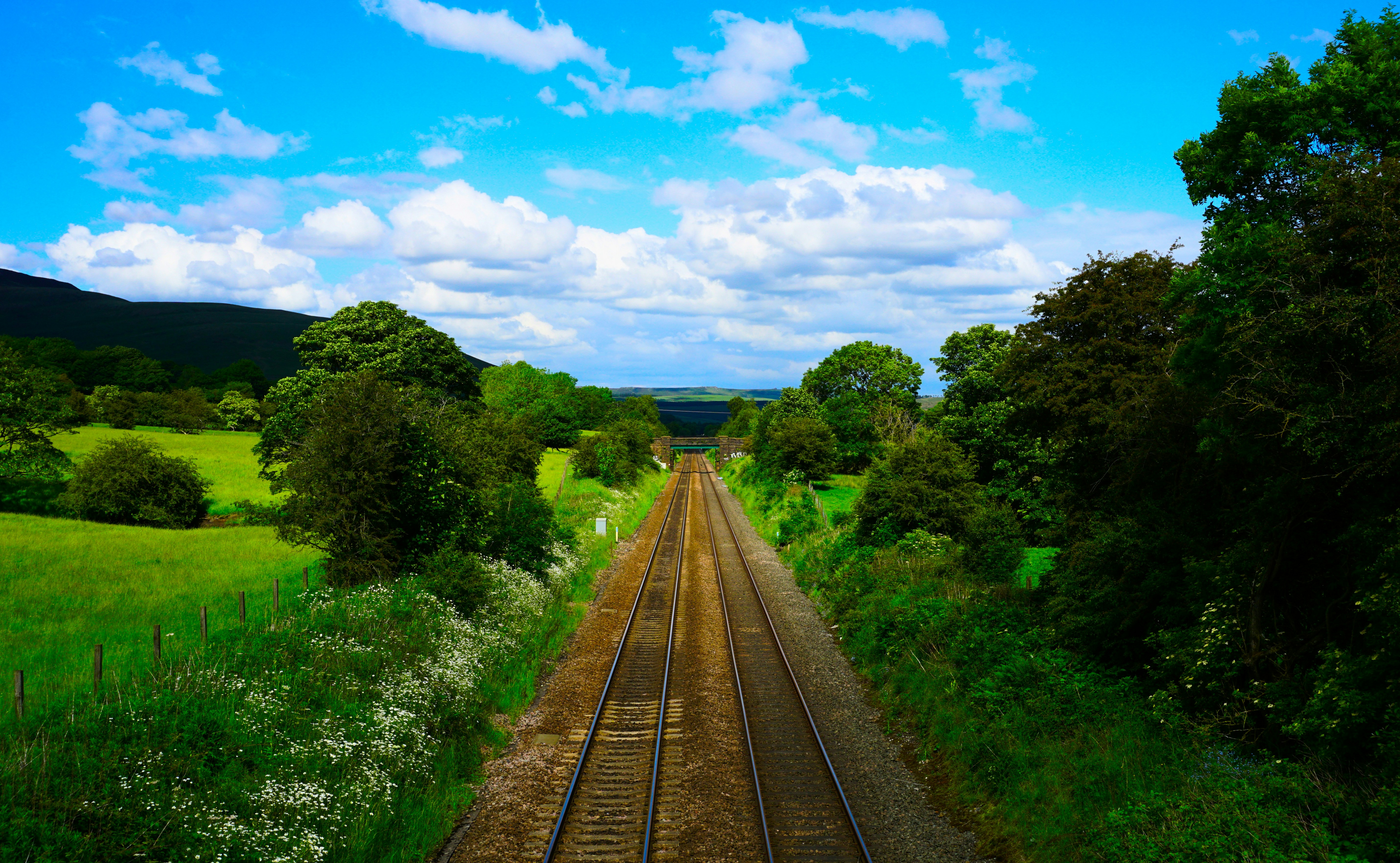 view photography of train rails between trees under blue sky