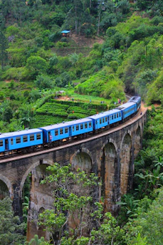 blue train on arch bridge near green field during daytime