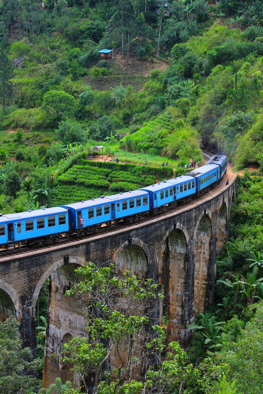 blue train on arch bridge near green field during daytime