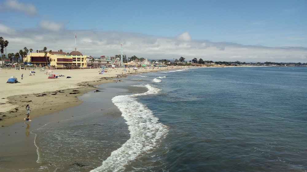 person standing on shore during daytime