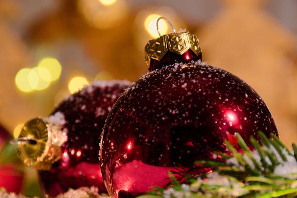 two red baubles on pine