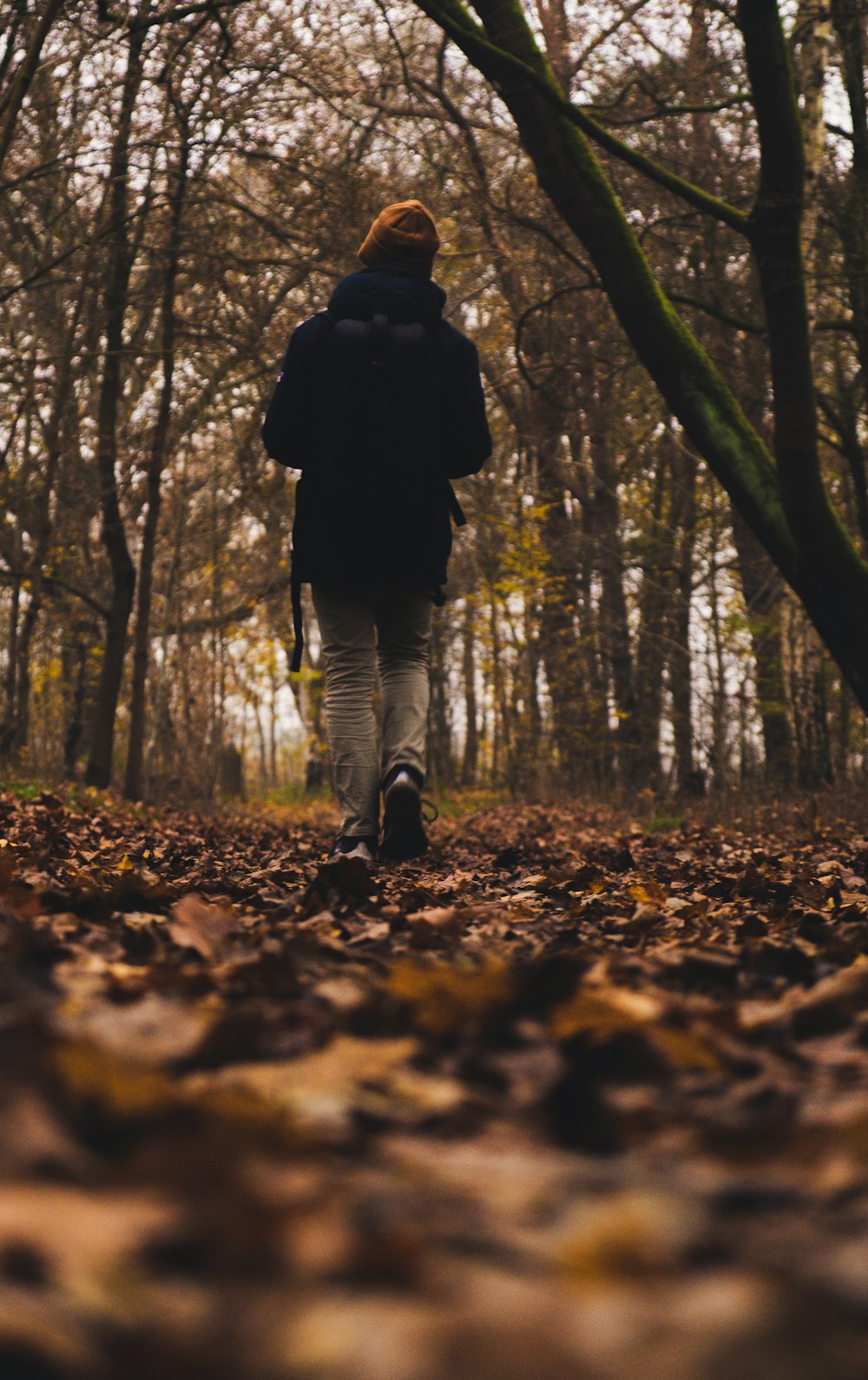 person walking in forest during daytime