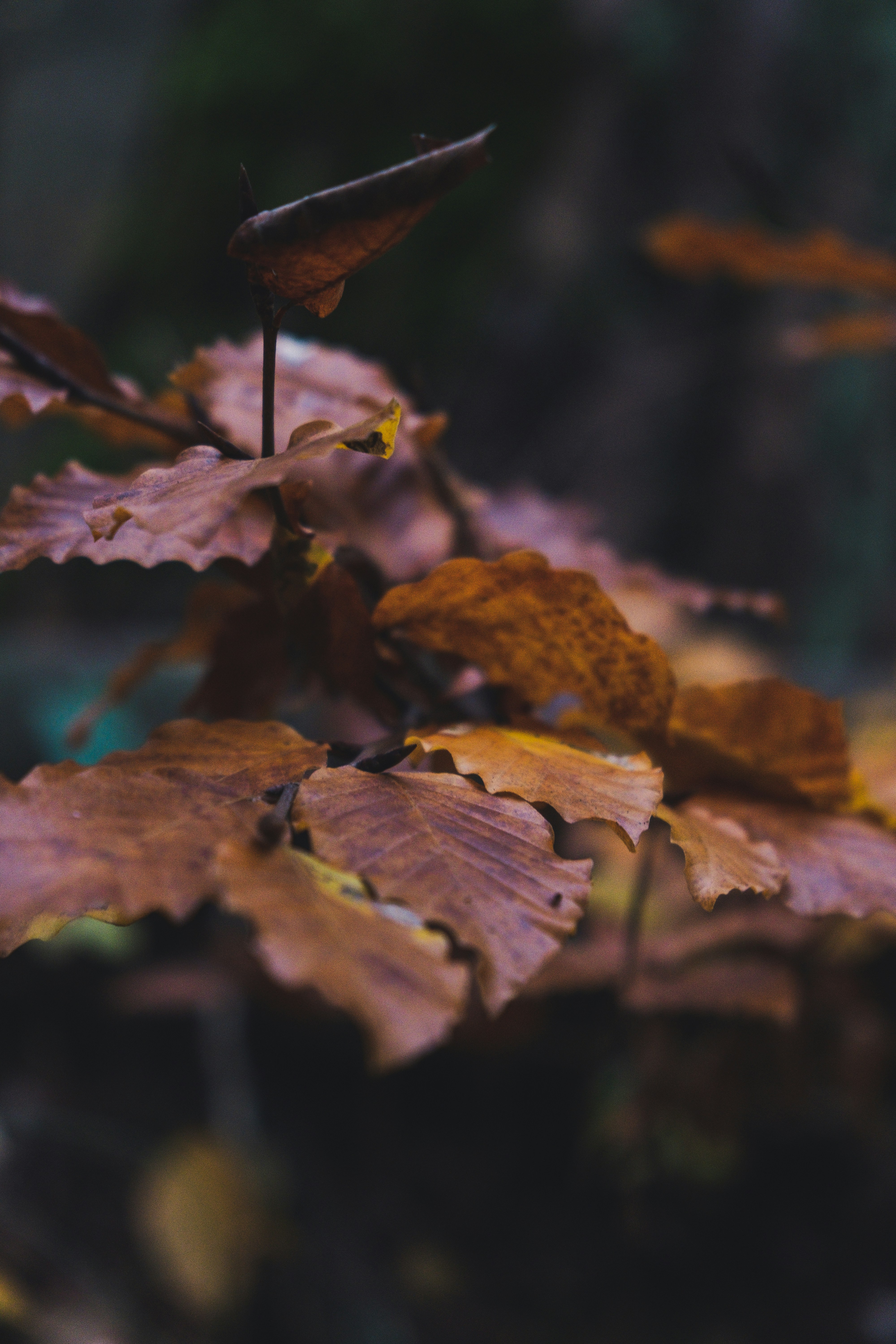 Photo by moritz_photography