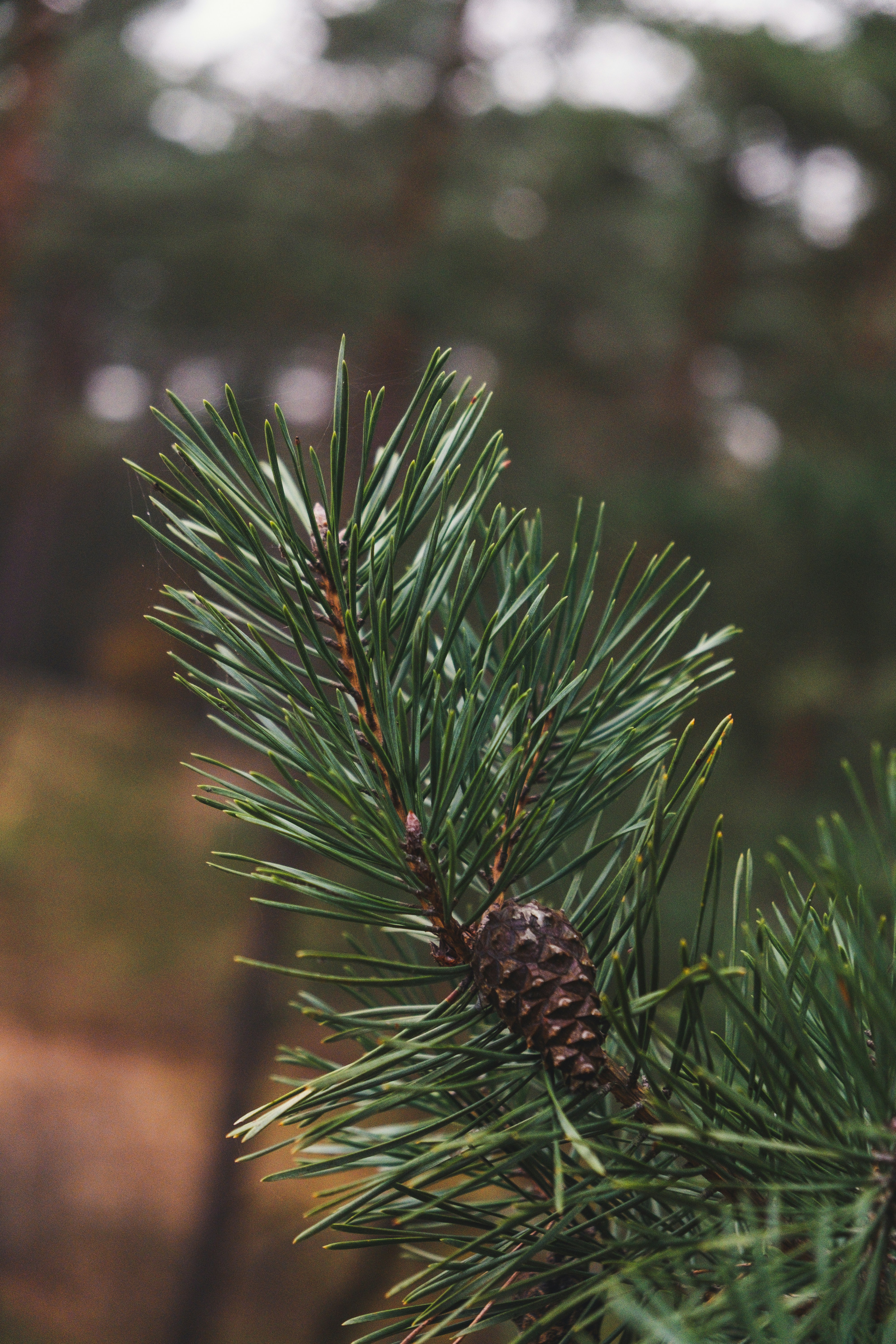 Photo by moritz_photography