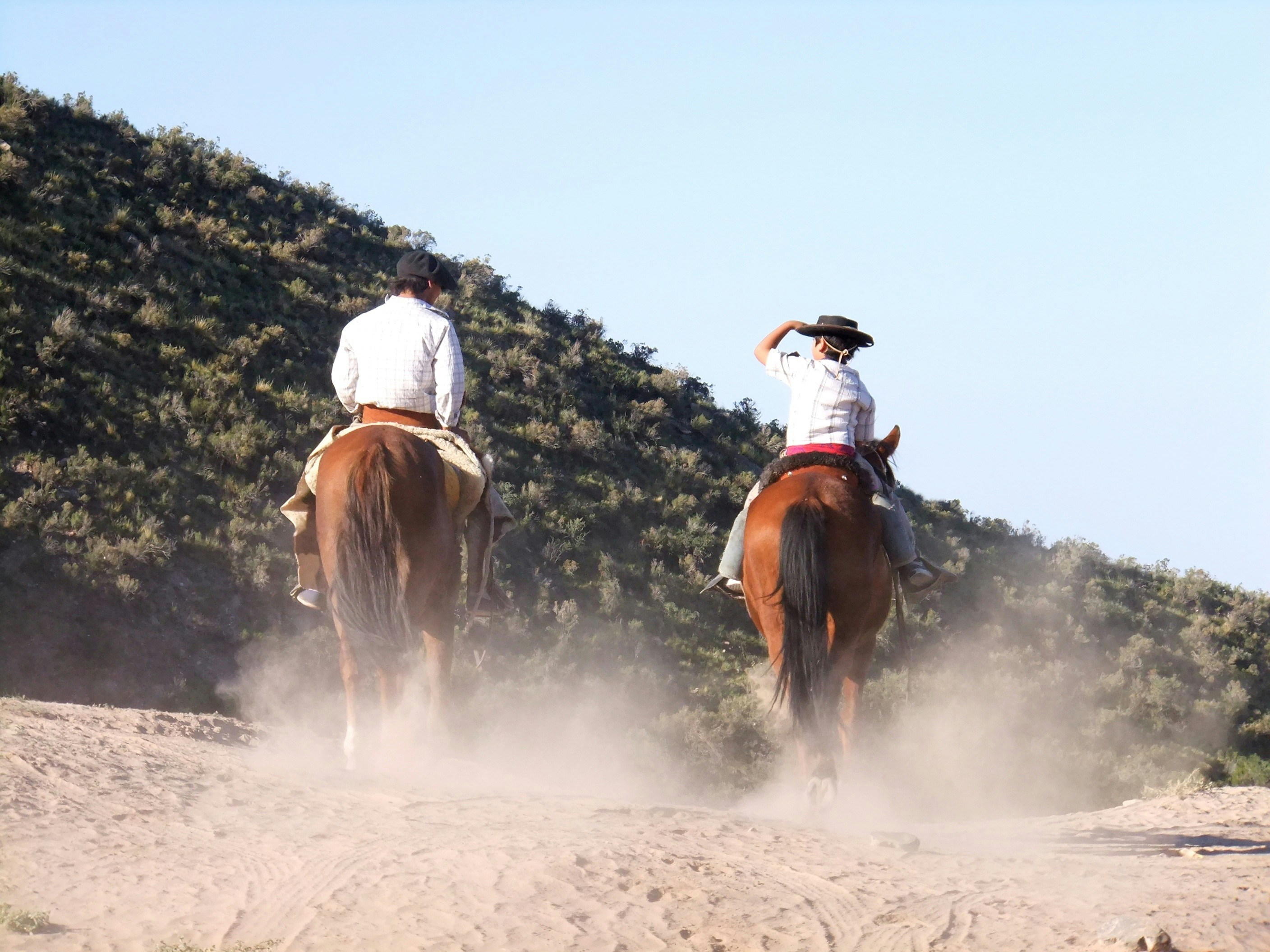 two man riding horses cowboys teams background