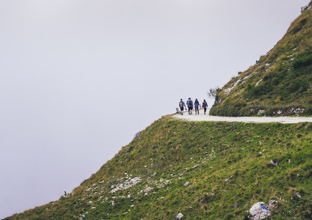 people standing on edge of mountain