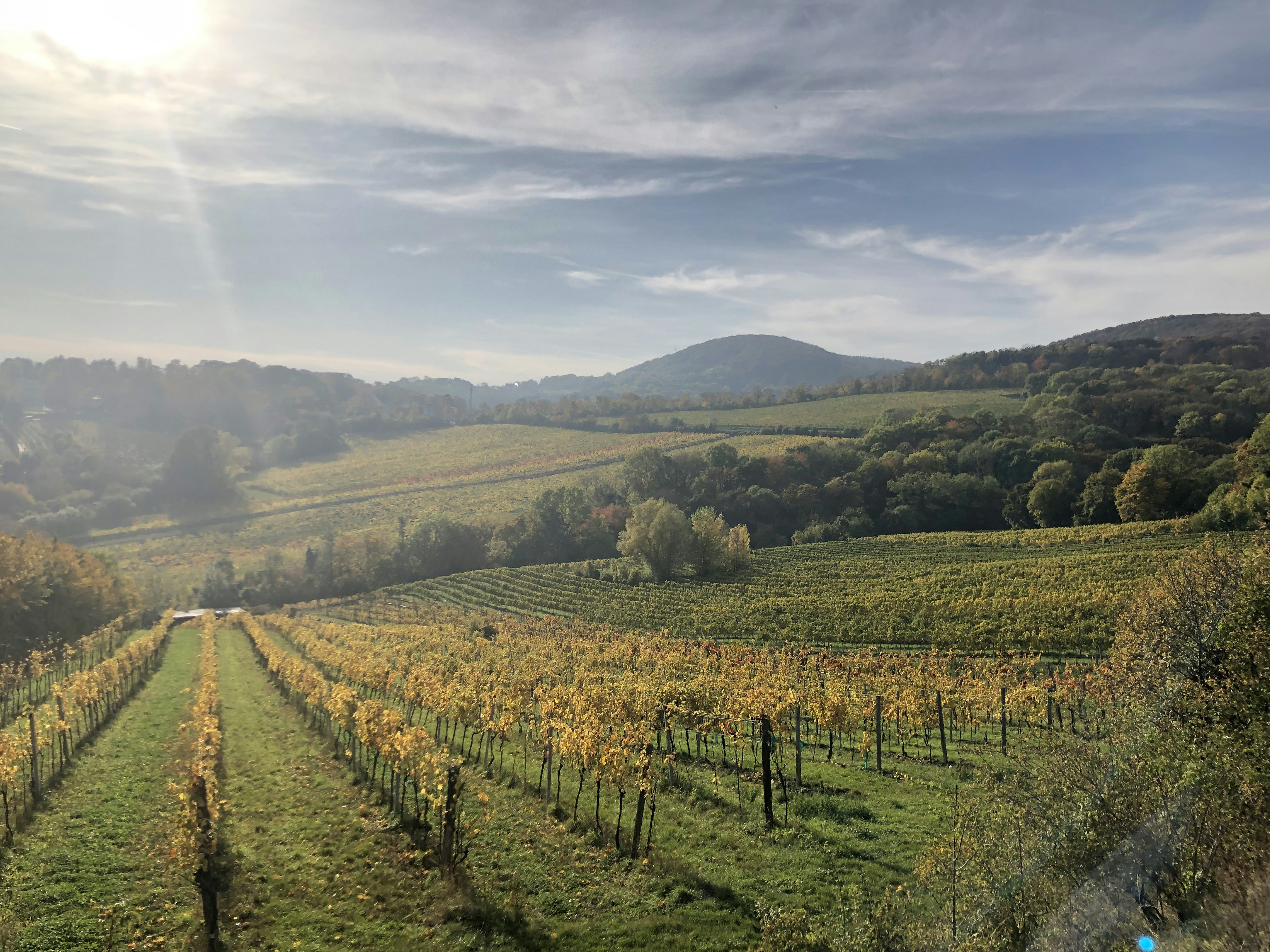 Confidential Address