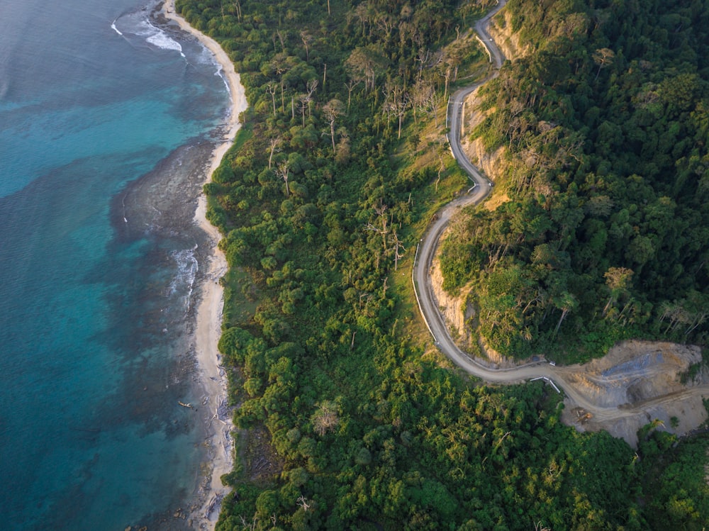 fotografia aérea da estrada por árvores e costa durante o dia