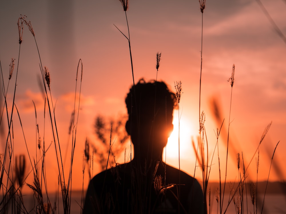 silhouette of man photograph