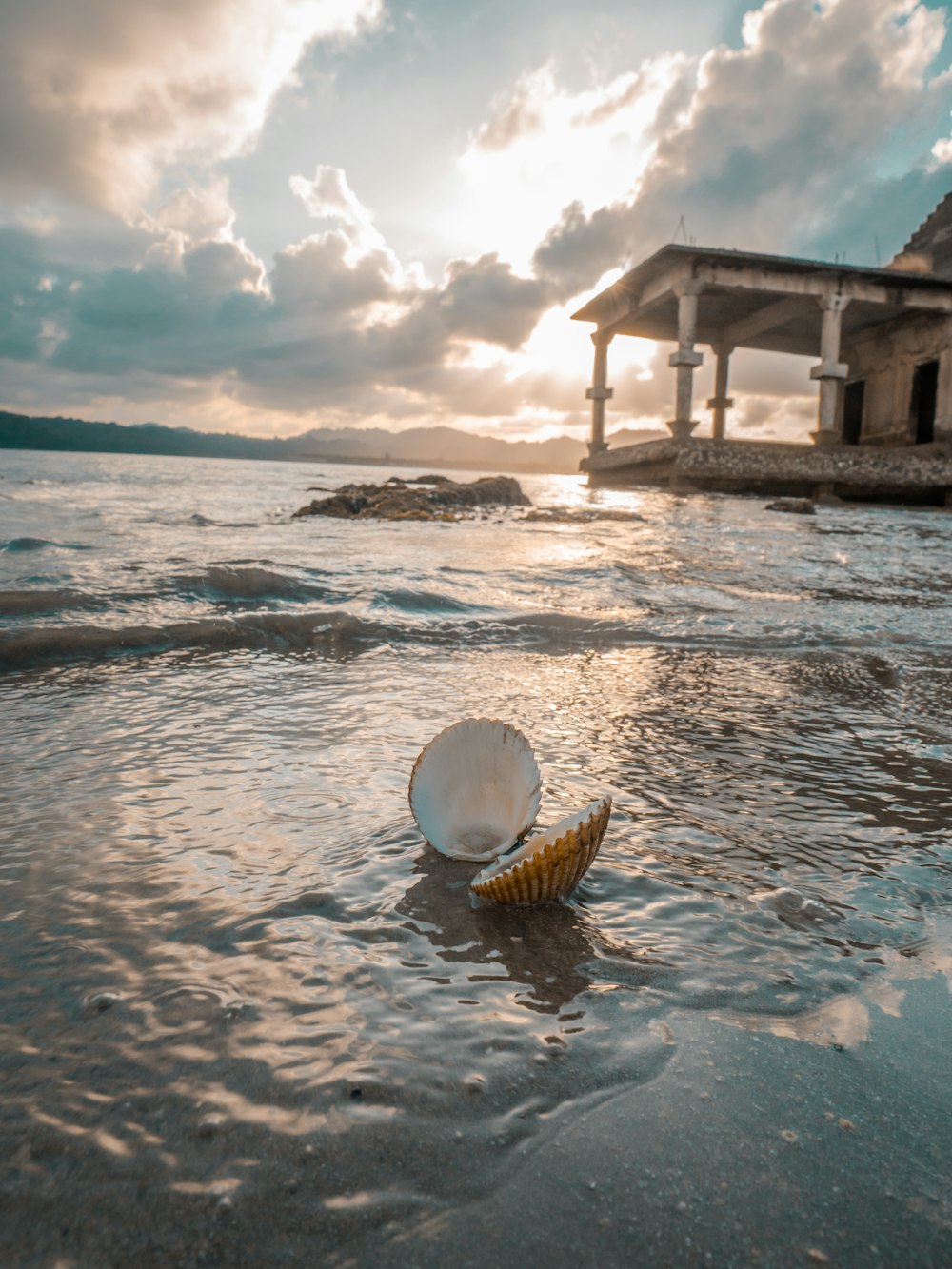 white clam on shore by building during golden hour