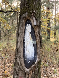 A tree with a large opening in its trunk contains a painted mural depicting a serene, mythical creature with a long snout and white fur, holding a glowing object. The background features a dark starry sky, while the surrounding forest displays autumn leaves.