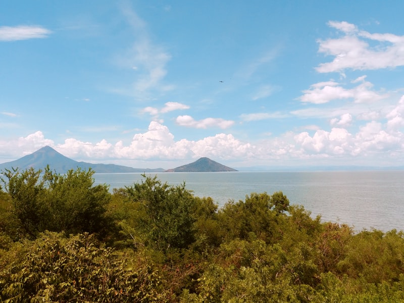 Cerro Negro Volcano Hike (No Boarding)
