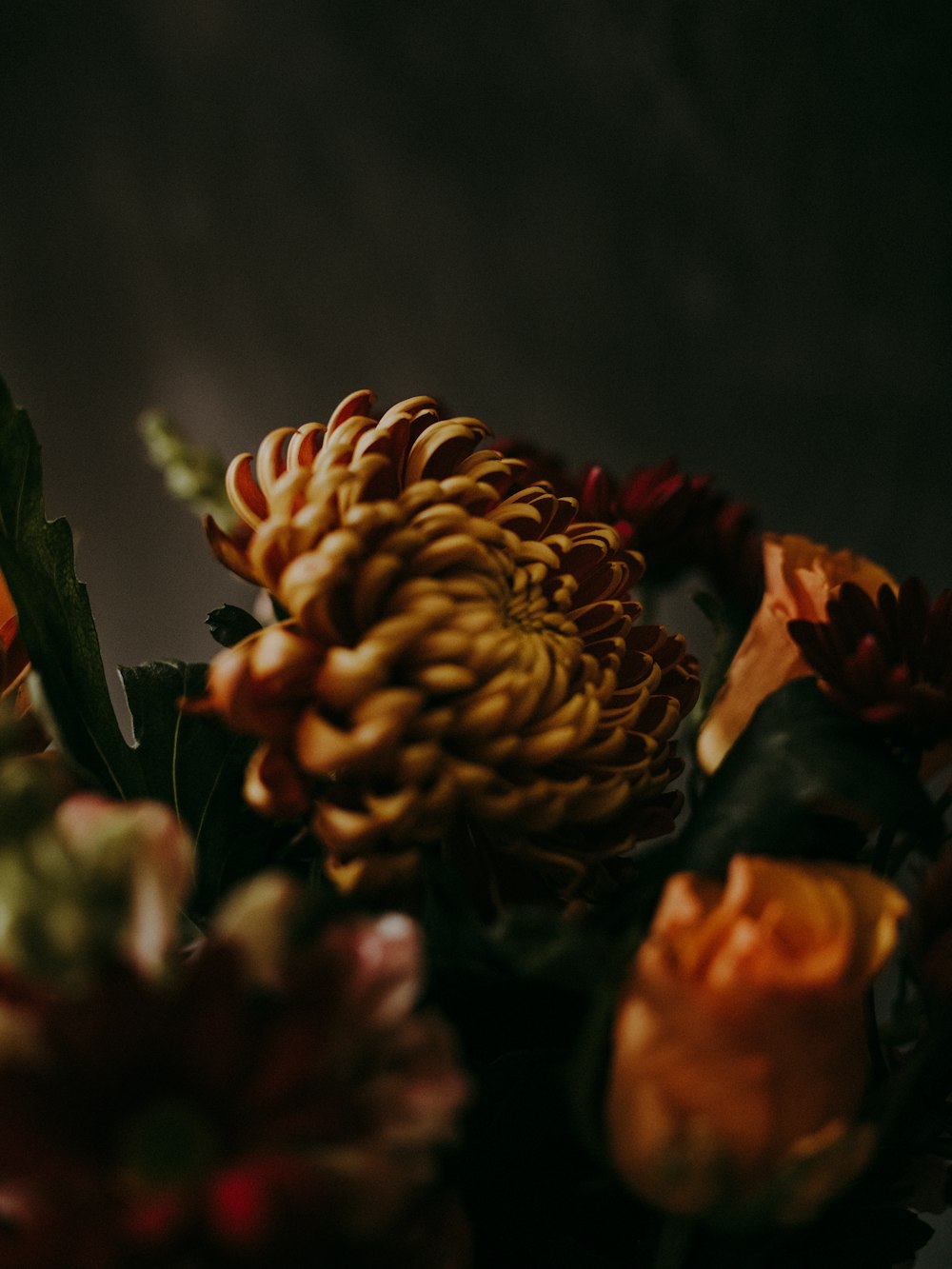 yellow multi-petaled flower