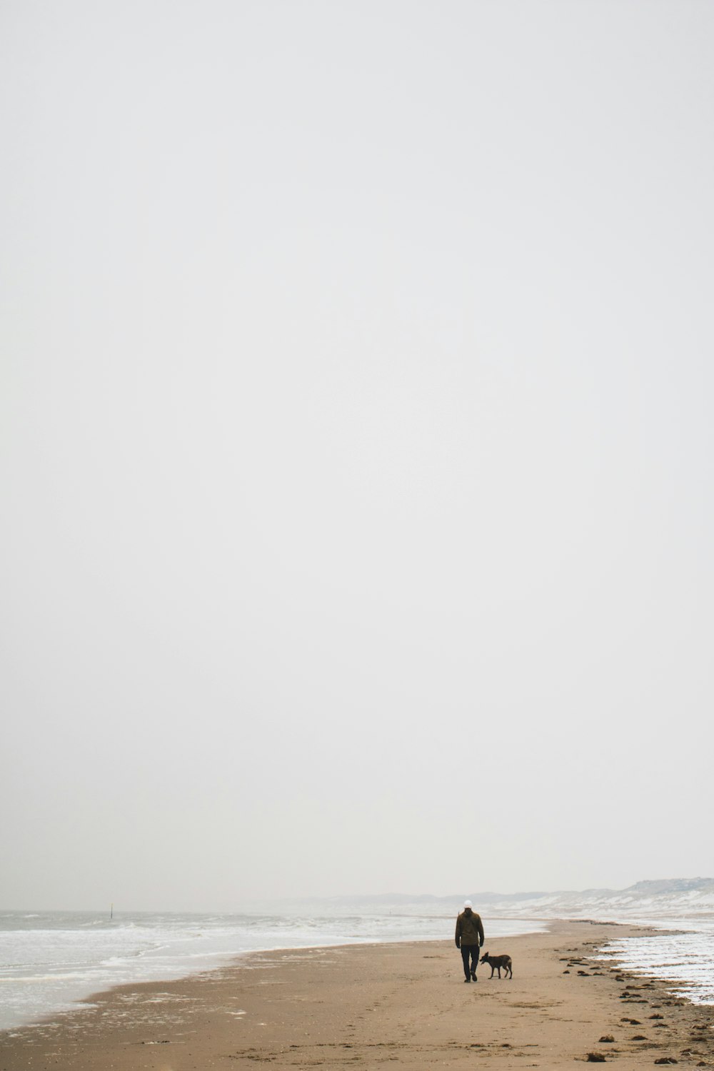 man standing beside dog on seashore