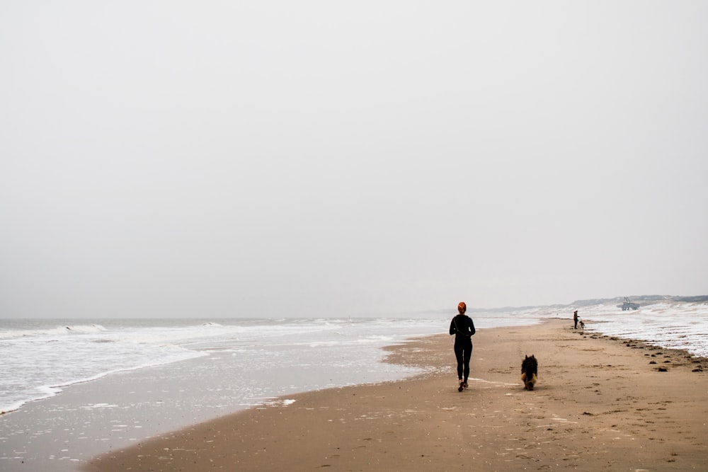person along with dog on shore under gray skies