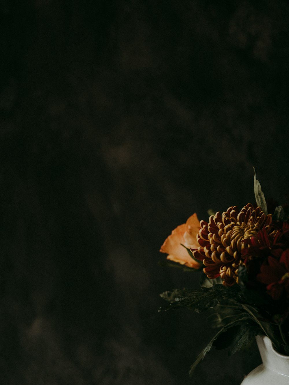 brown and green cluster flower