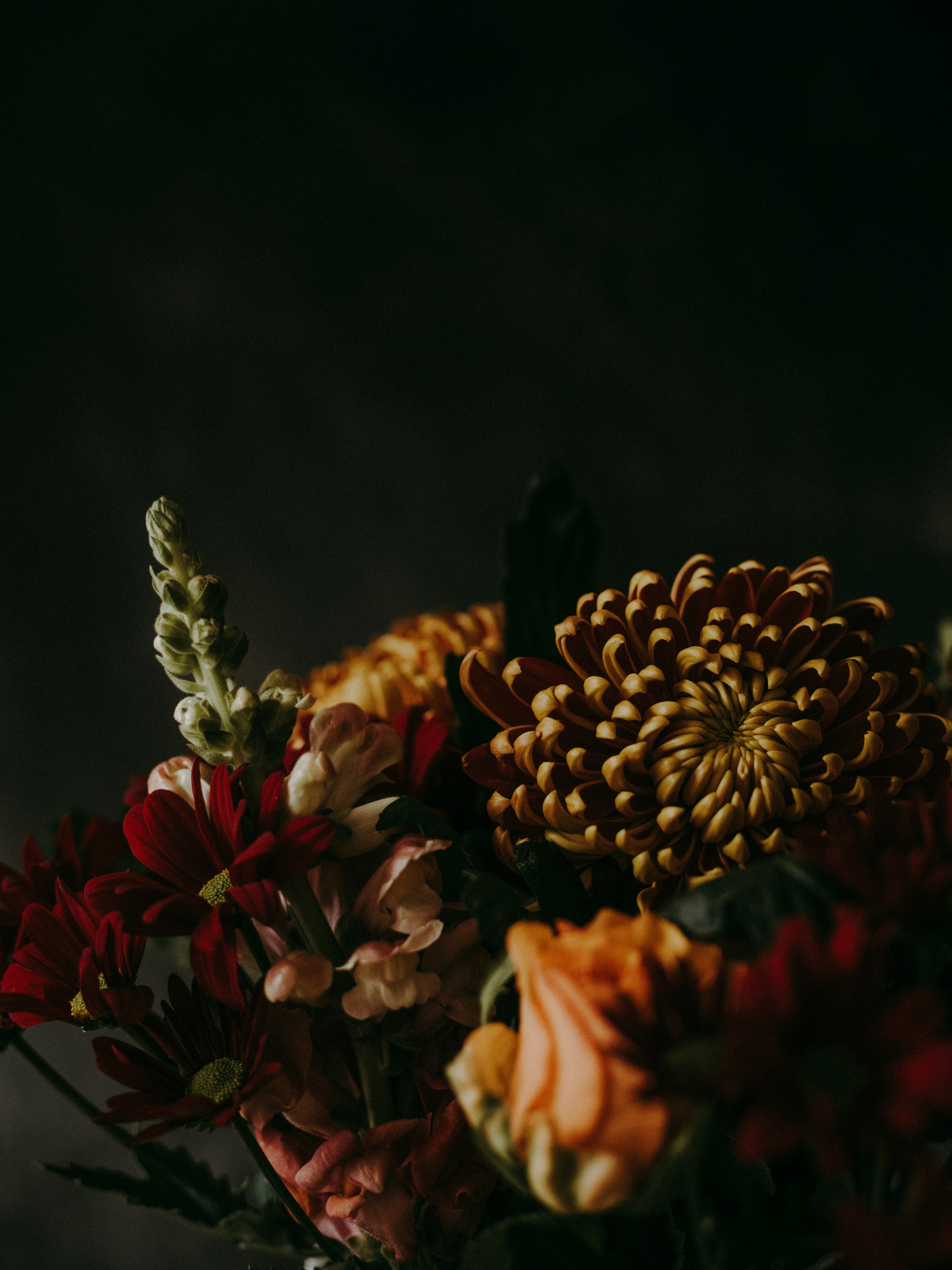 Photo by anniespratt