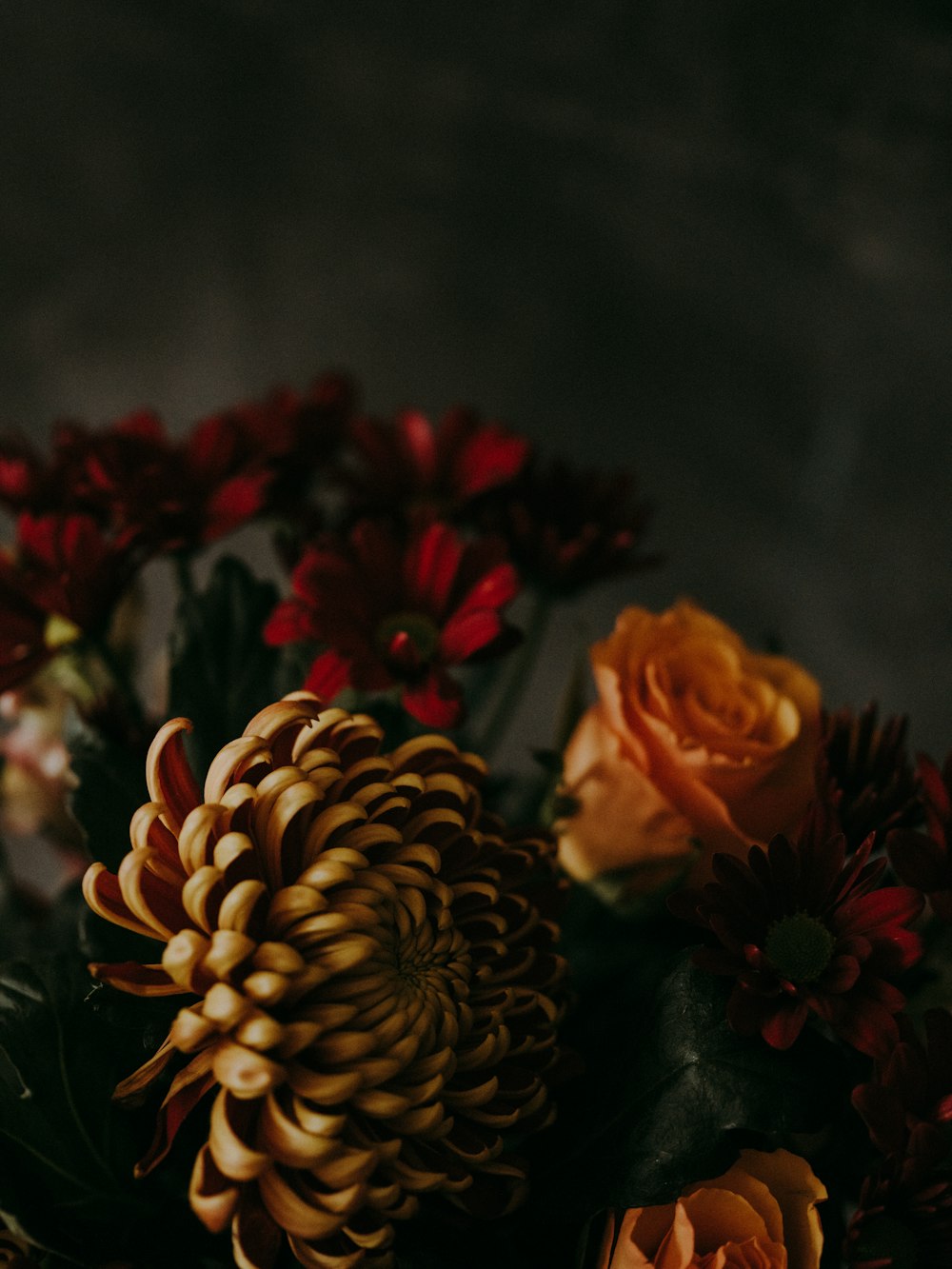 closeup photo of flowers