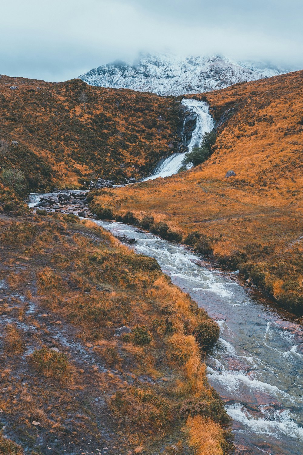 flowing river near field viewing mountain under white sky during daytime
