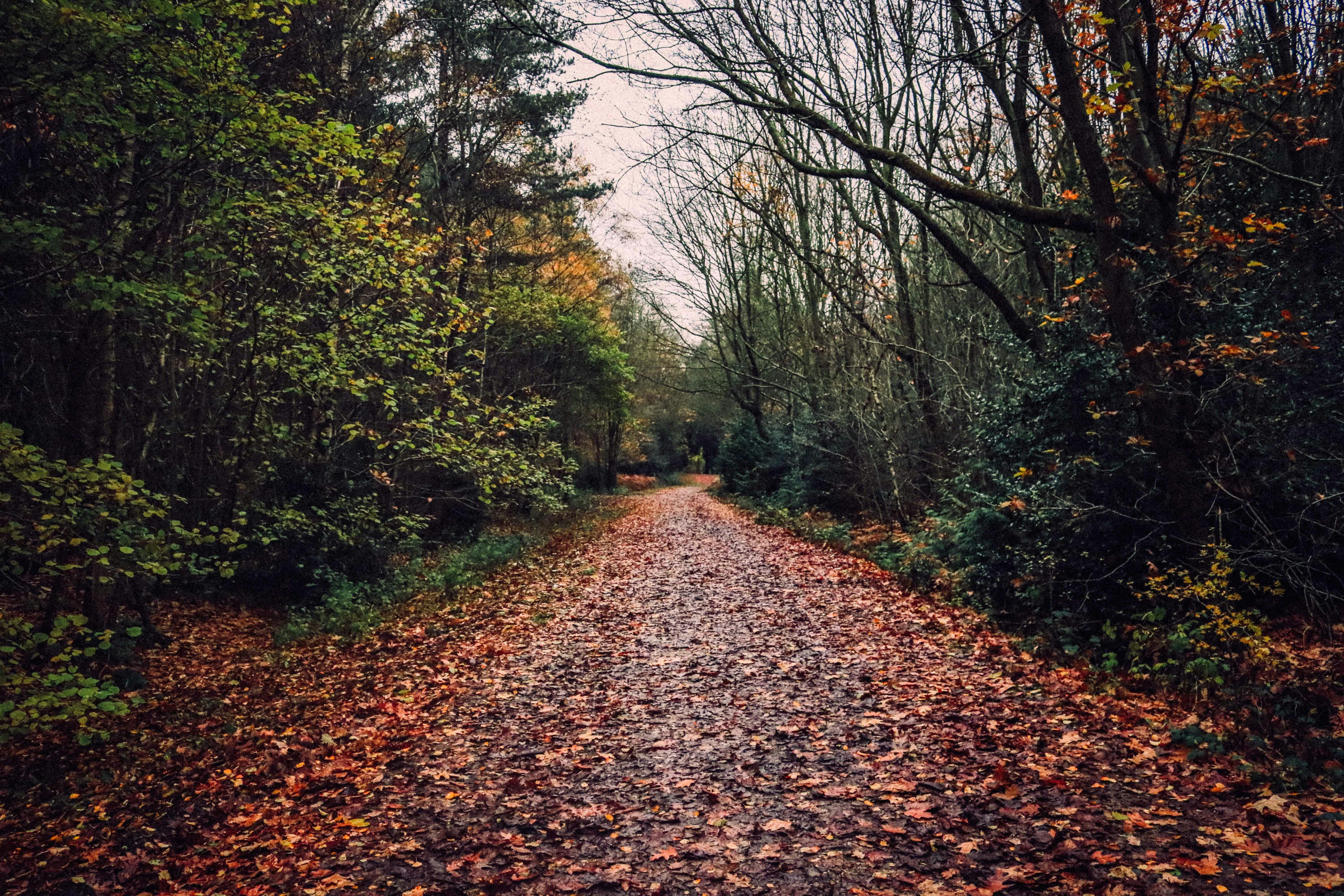 Photo by maxleveridge