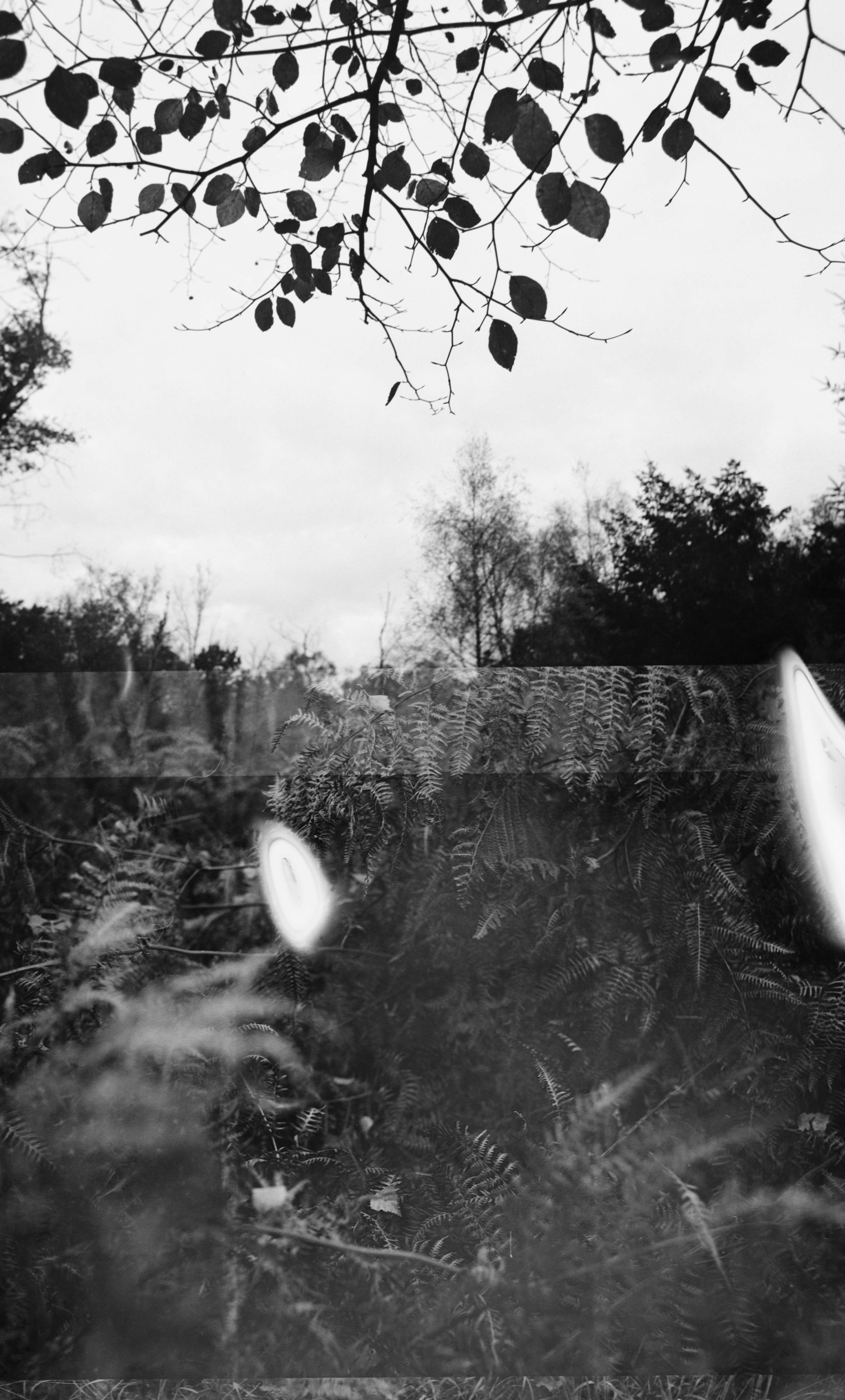 Photo by anniespratt