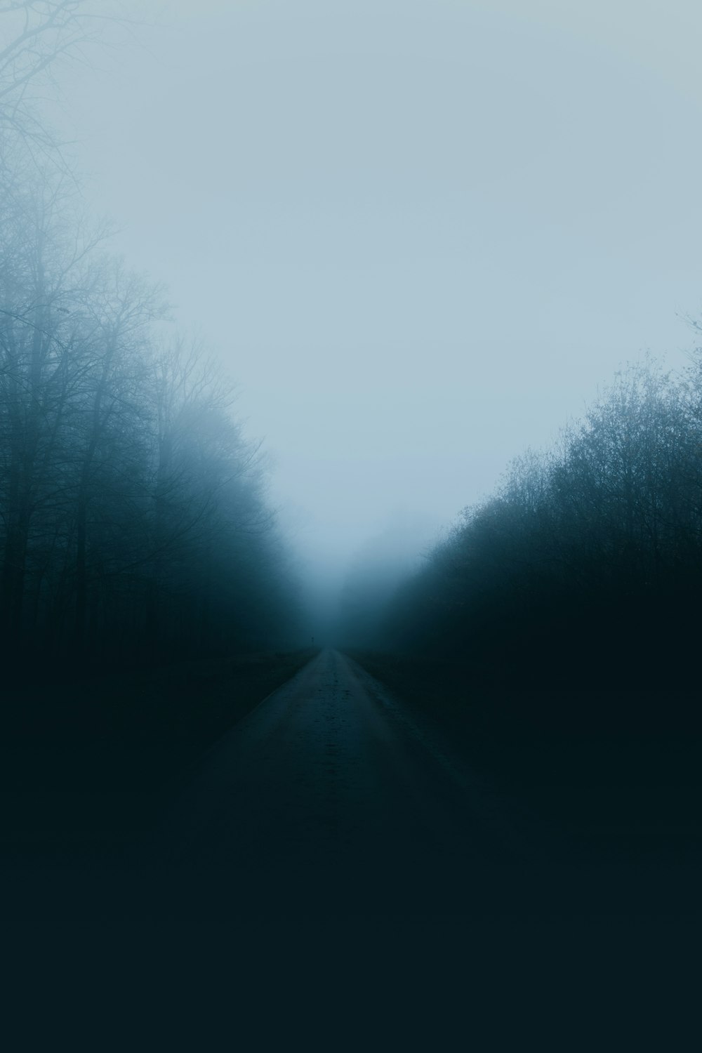 estrada cercada de árvores cobertas de névoa