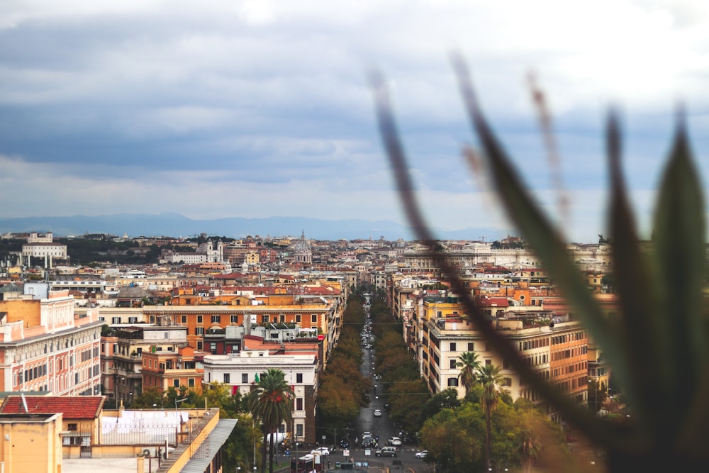 low-angle photography of buildings during daytime