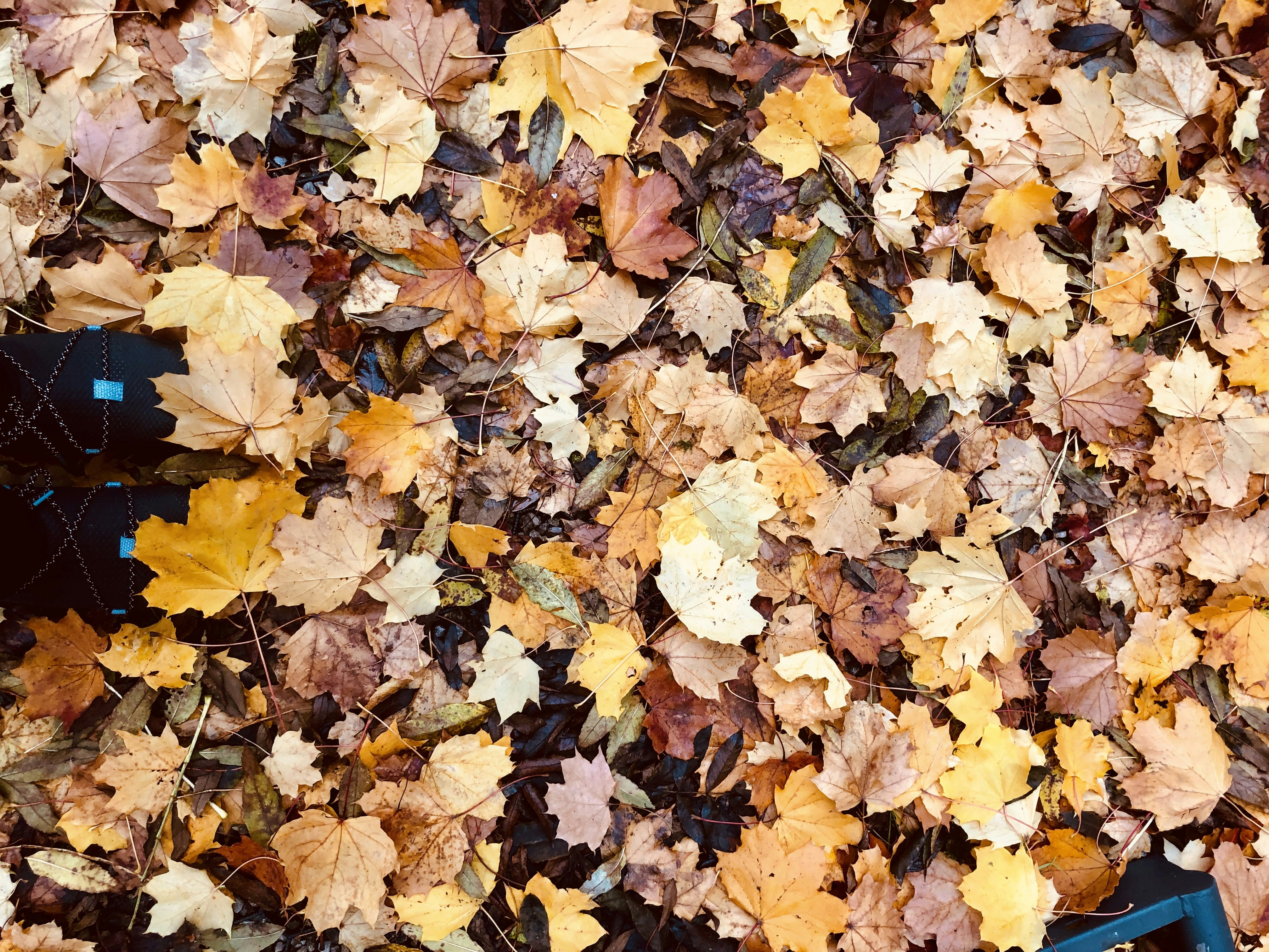 Photo by florianaormenaj