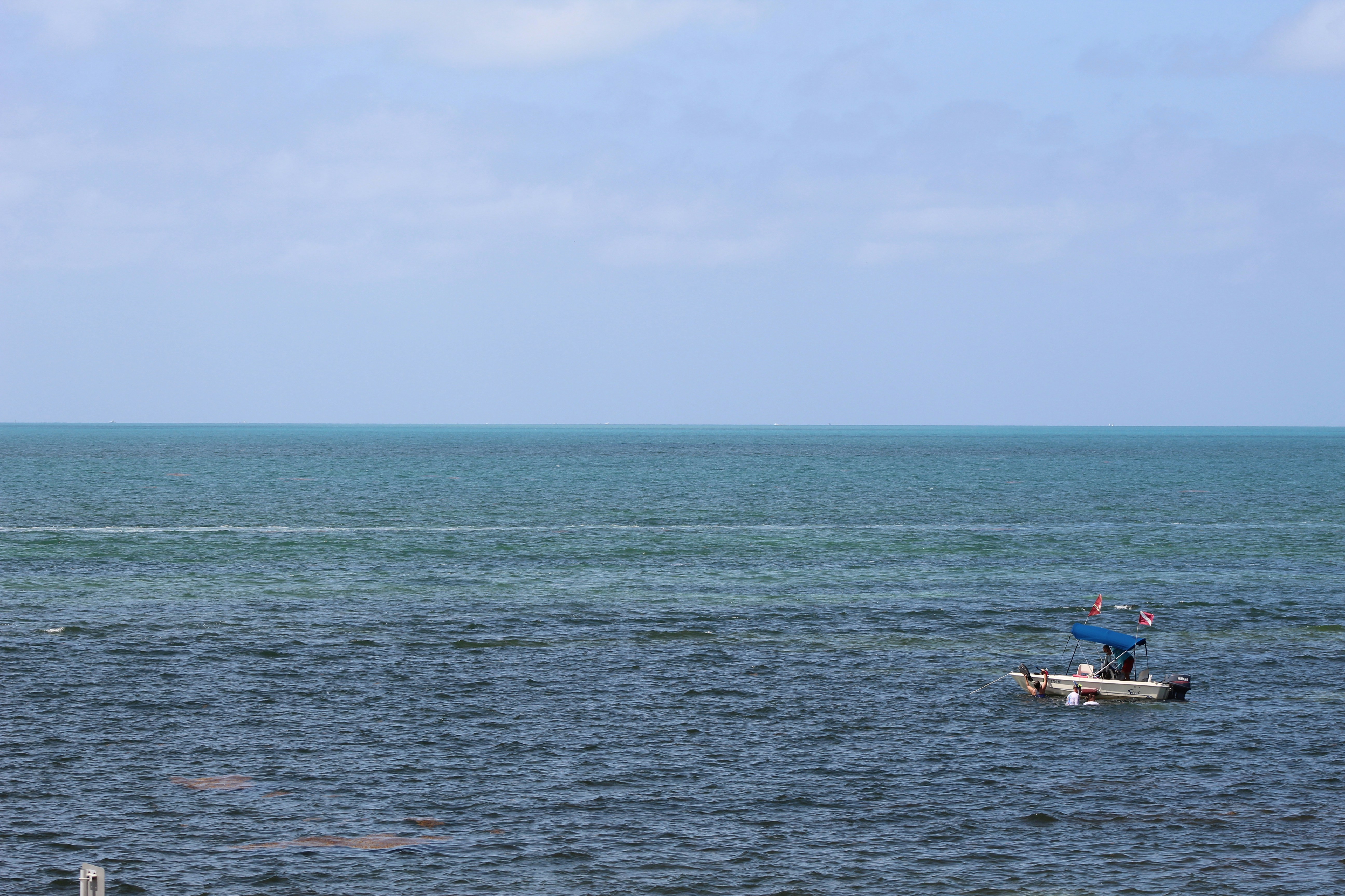 Photo by ldavidsonitr