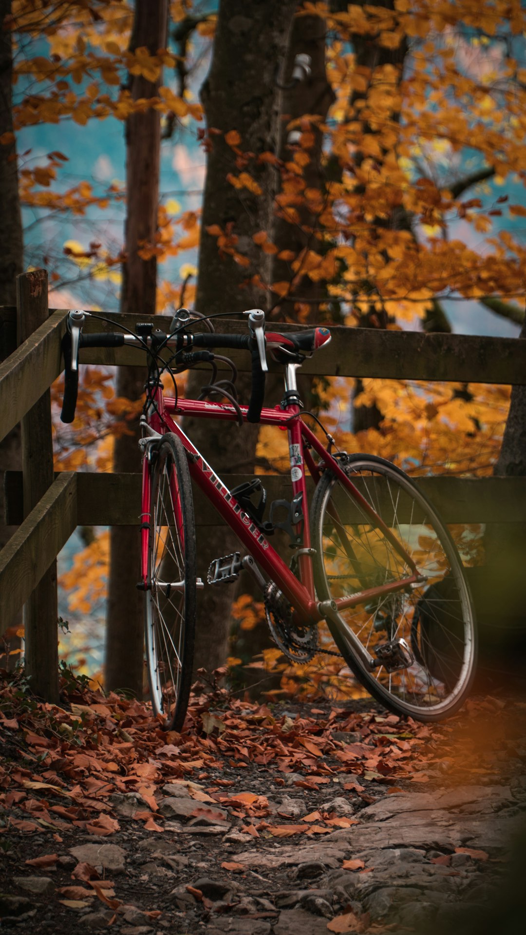 red road bike by fence by trees during daytime