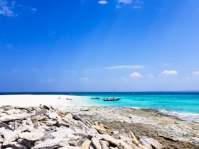Mozambique beach- turquoise sea