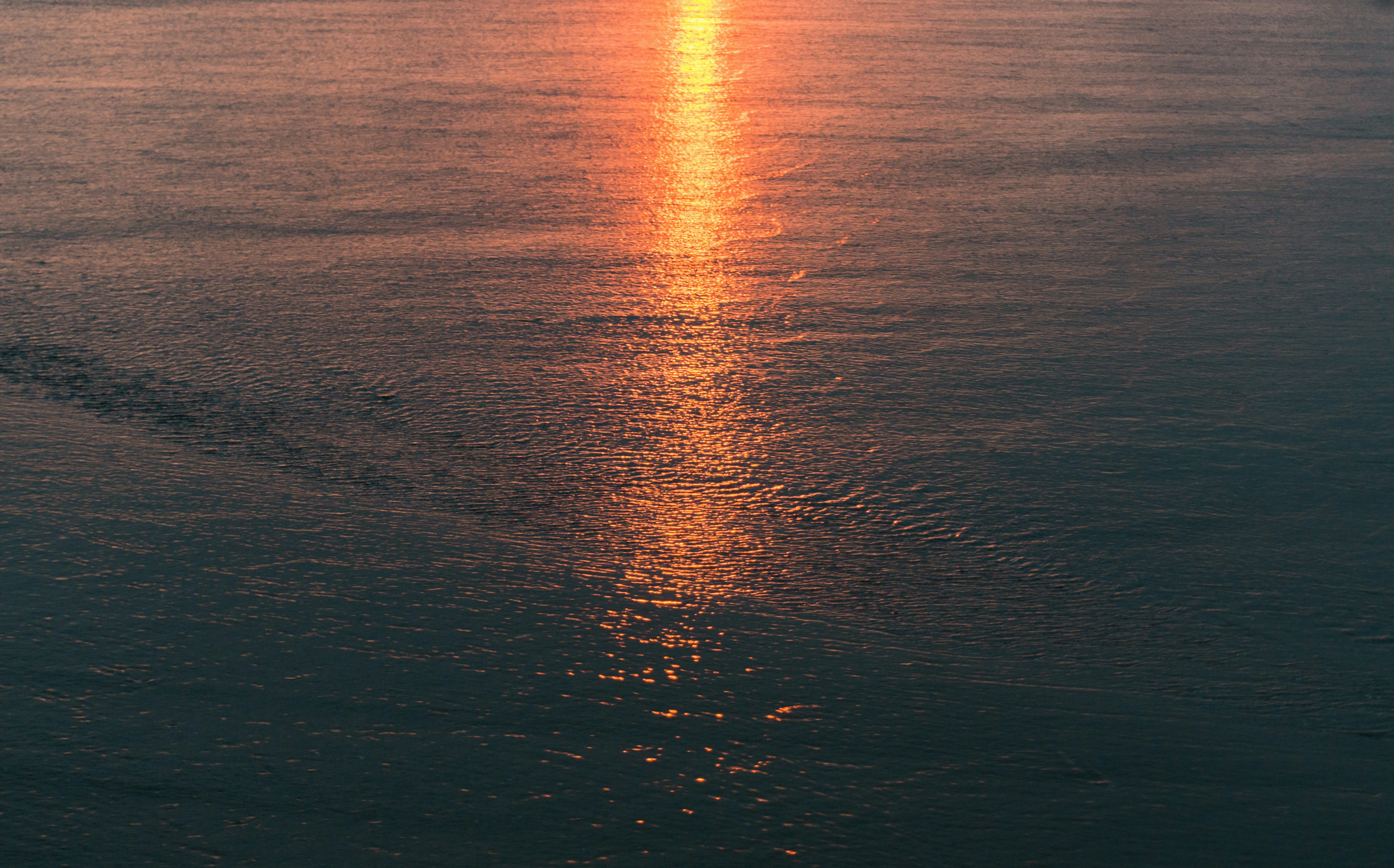 Photo by leonardo_64