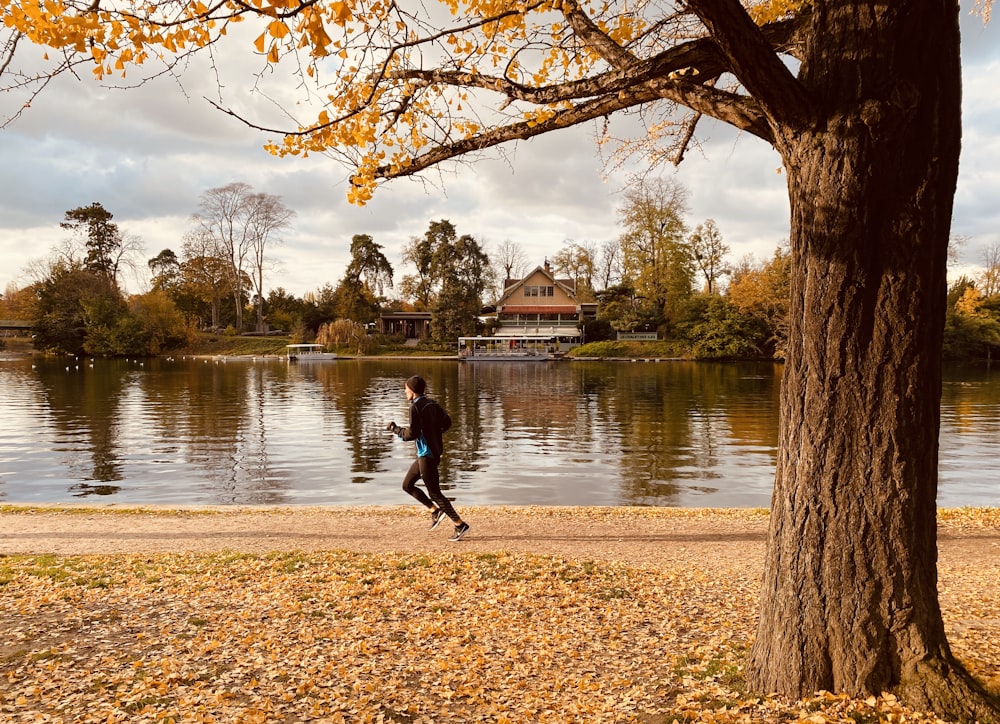 réflexion des arbres sur le plan d’eau pendant la journée