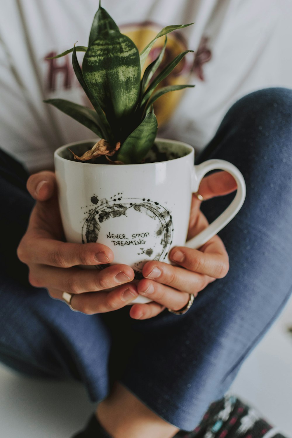 person holding mug with plant