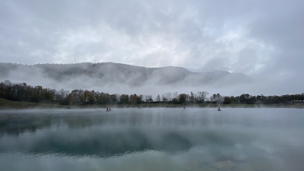 a body of water surrounded by a forest