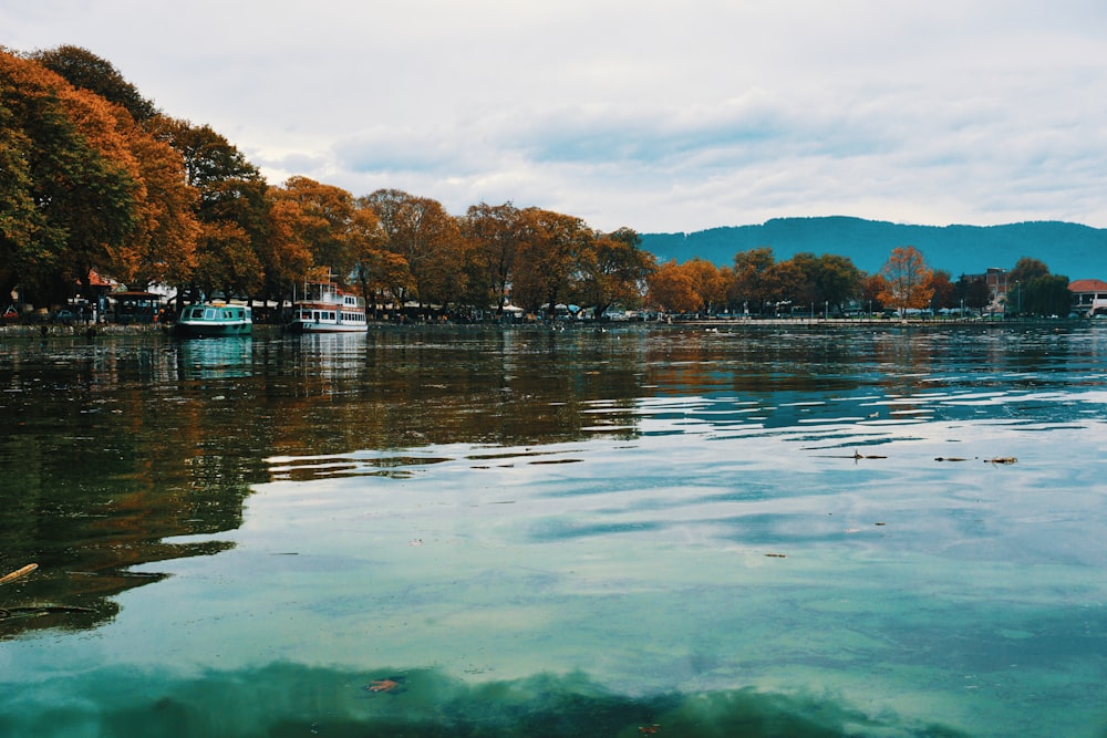 body of water photograph