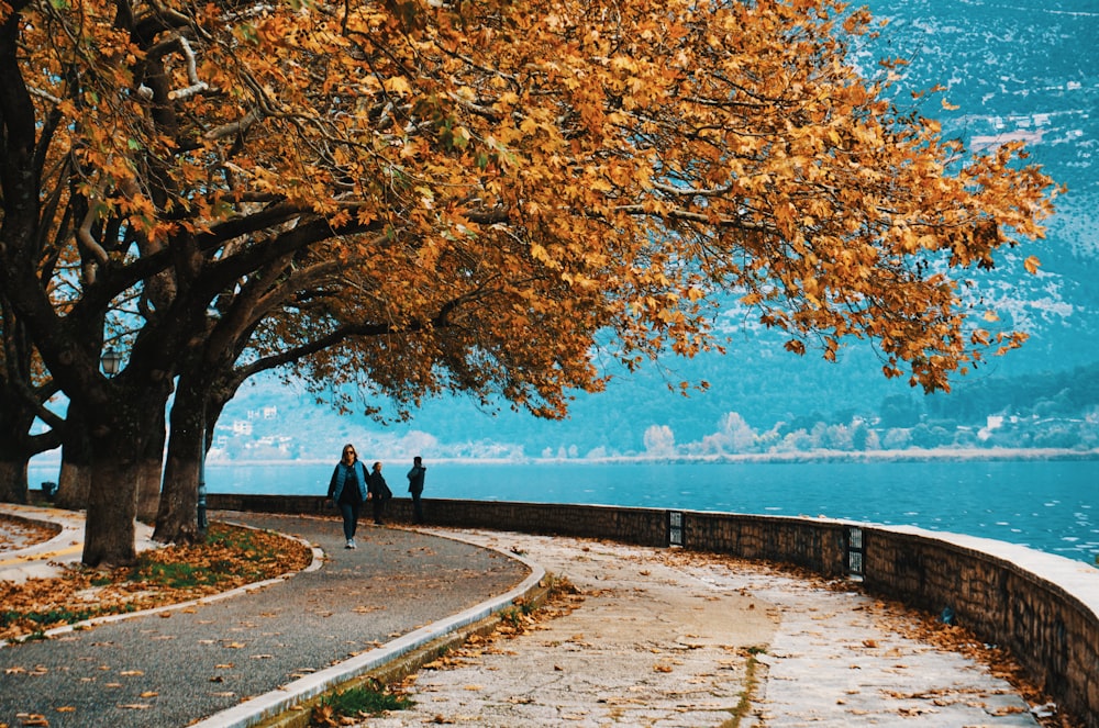 woman walking near the tree