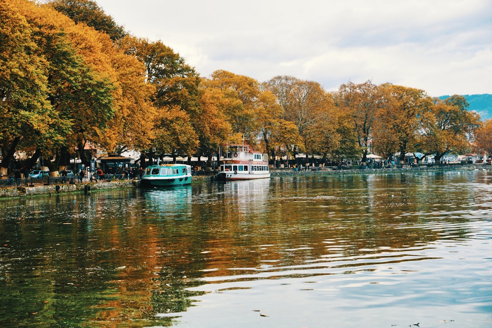 green trees beside body of water