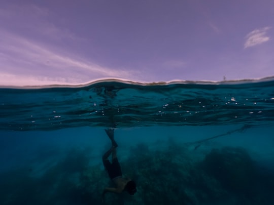 man swimming on the body of water photograph in Thinadhoo Maldives