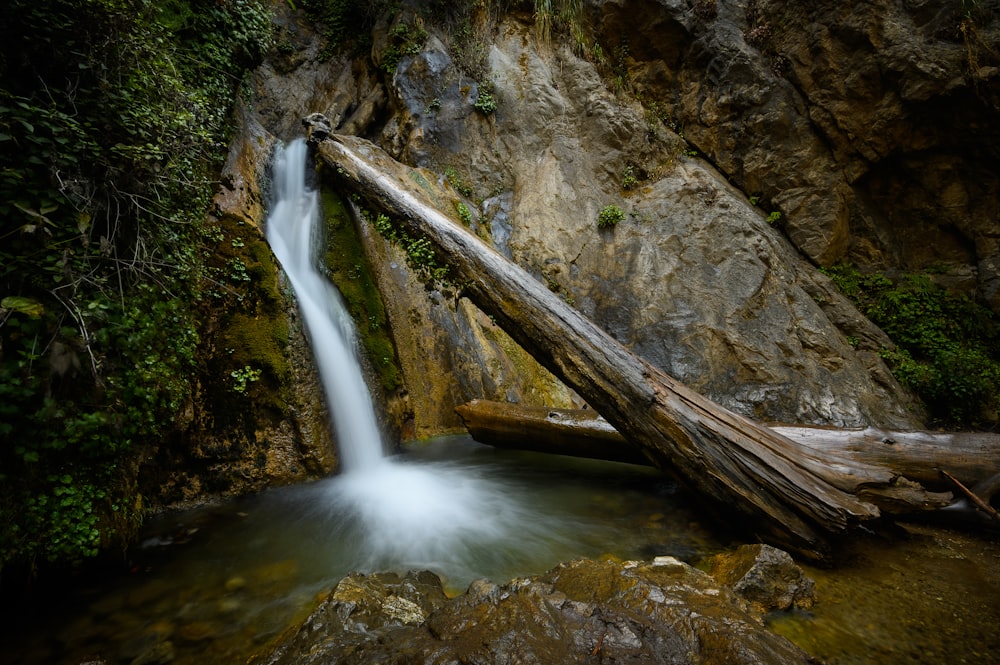 a small waterfall running through a lush green forest