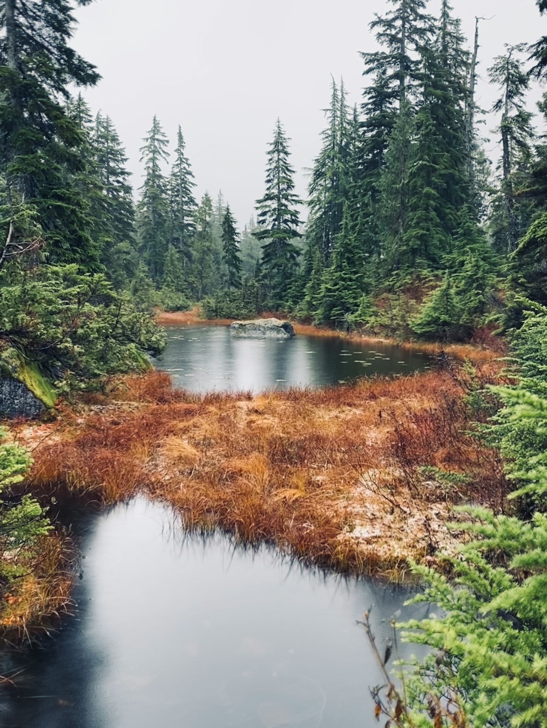 Lake photo spot Cypress Mountain Ski Area Sasamat Lake