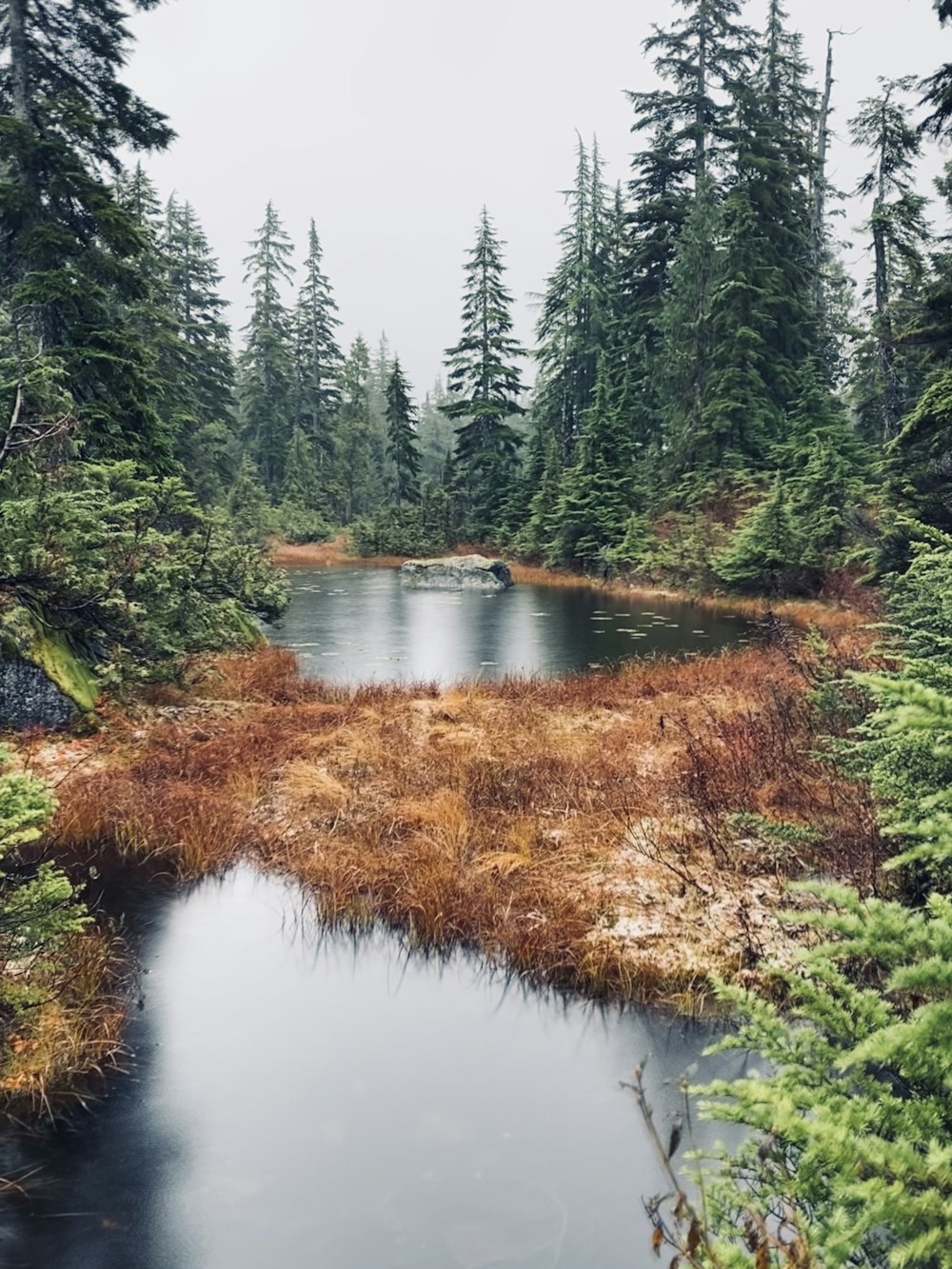 calm body of water