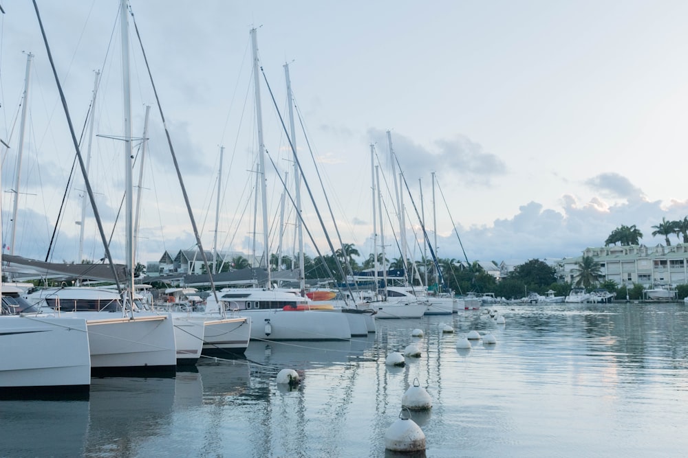 white boats beside dock