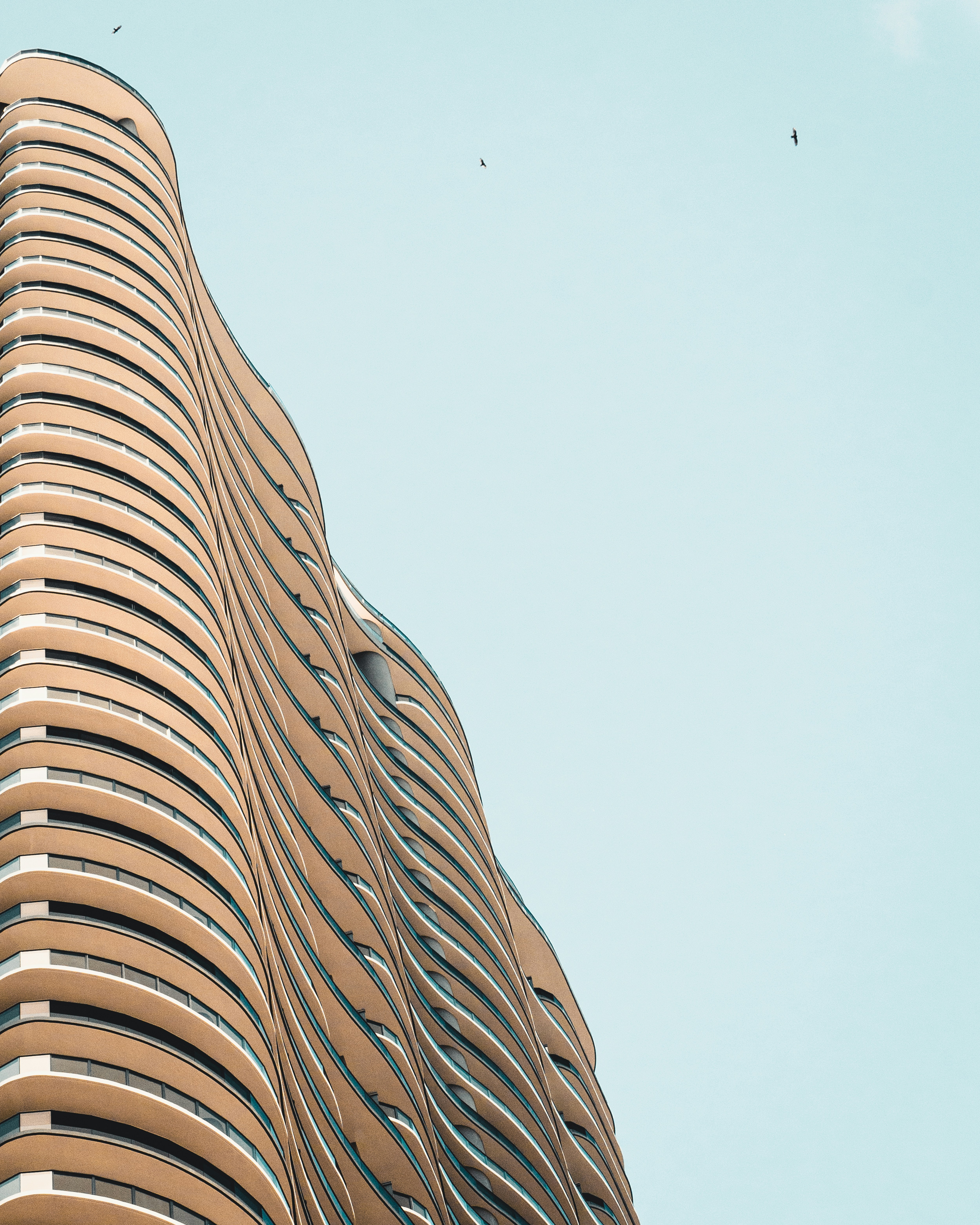 low-angle brown building