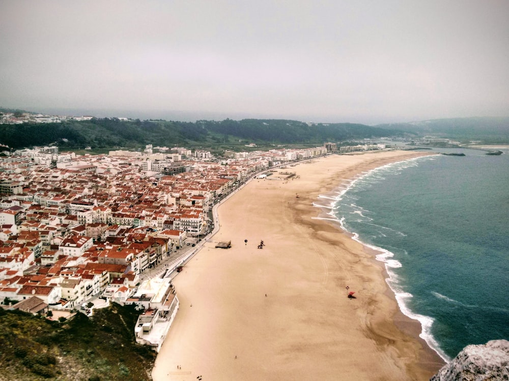 aerial photograph of city beside sea